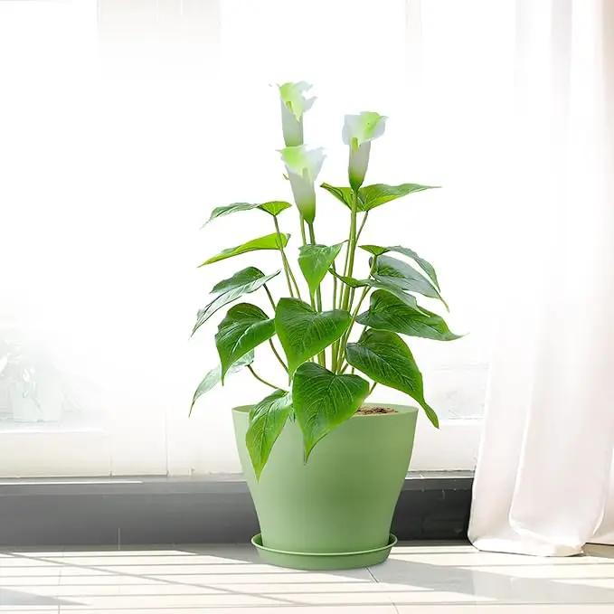 6 inch Plastic Nursery Pots,16 Pack Plant Pots for Small Indoor Outdoor Plants, Flower Pots with Drainage Holes and Saucers, Decorative Seedling Starter Planters for House Plants, Green by GreenHaven Gardens