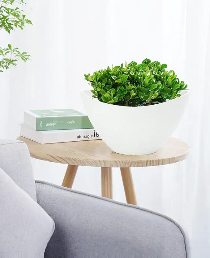 LaDoVita Plant Pots with Drainage Holes, 12 Inch Large Planters for Indoor Plants, Plastic Flower Pots Outdoor, 2 Pack, White by GreenHaven Gardens