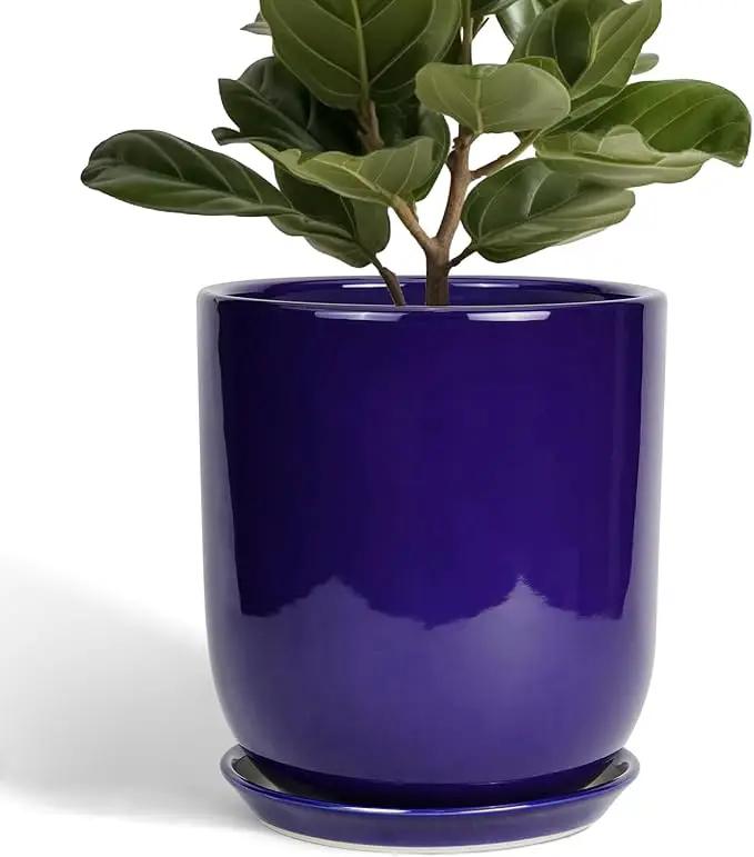 10 Inch Plant Pot - Ceramic Pot for Indoor Plants Large Planter Modern Outdoor Flower Pot with Drainage Hole and Saucer for Home Patio Decor Blue by GreenHaven Gardens