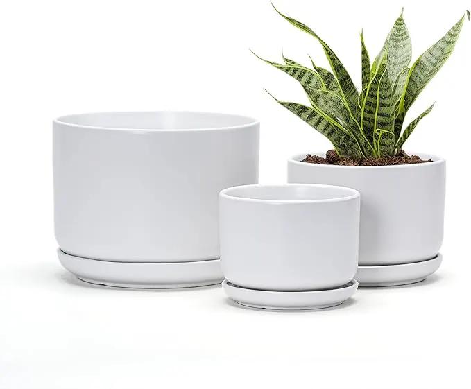 Ton Sin Plant Pots, 4.1+5.1+6.5 inch, Set of 3, Ceramic Planters with Drainage Hole and Saucer, Indoor Flower Pot with Hole Mesh Pad, Gifts for Mom(Matte White) by GreenHaven Gardens