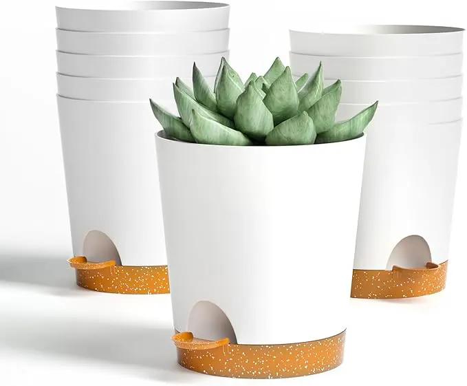 4 inch Small Plant Pots for Outdoor Indoor Plants, 10 Pack Planters with Drainage Holes and Tray, Small Self Watering Pots for Succulent,Cactus, Aloe and Other Plants. (White) by GreenHaven Gardens