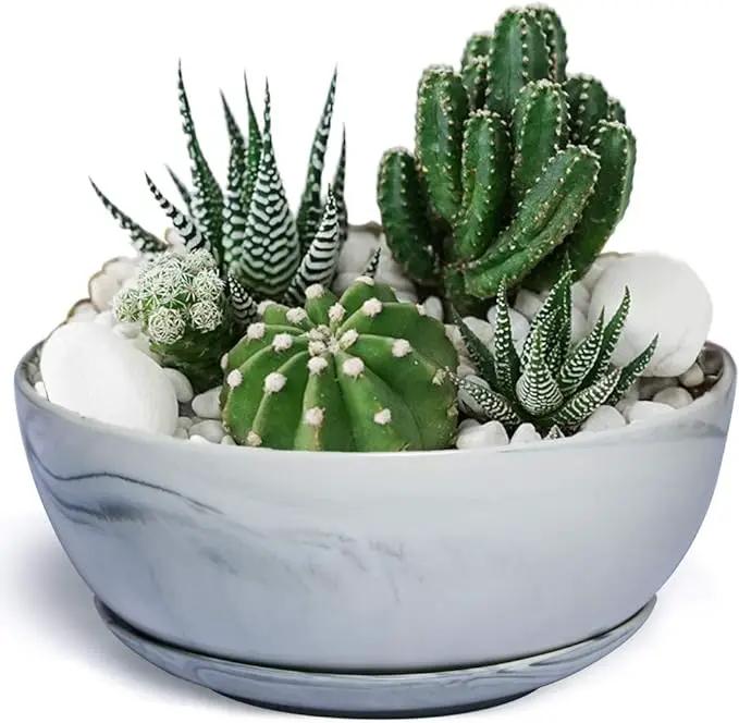 G EPGardening 10Inch Large Planter Pot Marble Pattern Ceramic Succulent Planter Big Plant Pot Succulents Container Flower Pot Indoor Outdoor Decor by GreenHaven Gardens