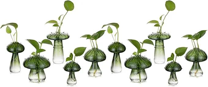 Glasseam Mushroom Plant Propagation Stations: Green Glass Terrarium Jar Set of 10 Cute Planters for Indoor Plants Mini Propagate Station Unique Christmas Birthday Gifts for Women Home Office Decor by GreenHaven Gardens