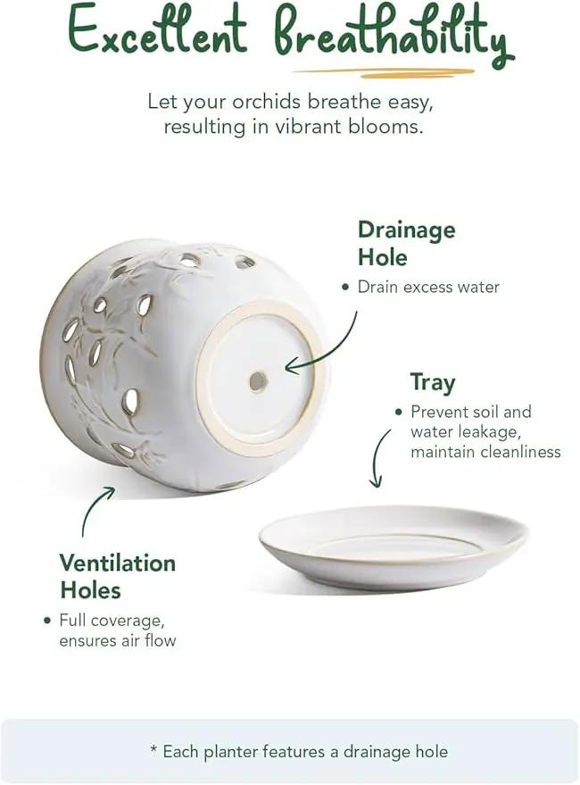 LE TAUCI Ceramic Orchid Pot, 6.5 Inch Orchid Pots with Holes, Orchid Planter for Repotting, Indoor Flower Plant Pot with Drainage and Saucer, Arctic White by GreenHaven Gardens