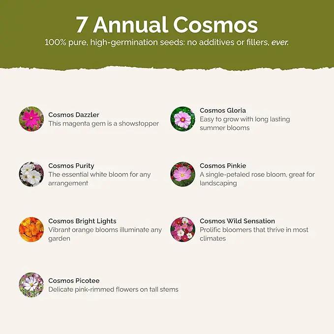 Eden Brothers Crazy for Cosmos Flower Mixed Seeds for Planting, 5 lb, 2,400,000+ Seeds with Cosmos Gloria, Pinkie, Purity | Attracts Pollinators, Plant in Spring or Fall, Zones 3, 4, 5, 6, 7, 8, 9, 10 by GreenHaven Gardens