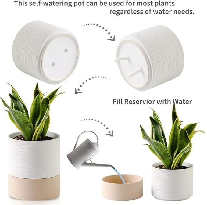 Nihow Self Watering Plant Pot: 6 Inch Ceramic Planter with Drainage Hole & Water Storage Plus for Indoor & Outdoor Plants - Cylinder Round Flower Pot for Succulent/Herbs/Violets - White & Brown by GreenHaven Gardens