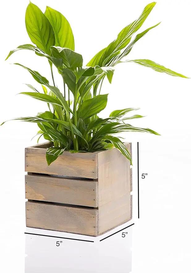 Wood Planter Box with Wine Crate Styled, 5 Inch Square, Rustic Barn Wood, Plastic Liner, Wedding Flowers Holder, Home and Venue Decor, (5x5 Wine Crate Set of 4) by GreenHaven Gardens