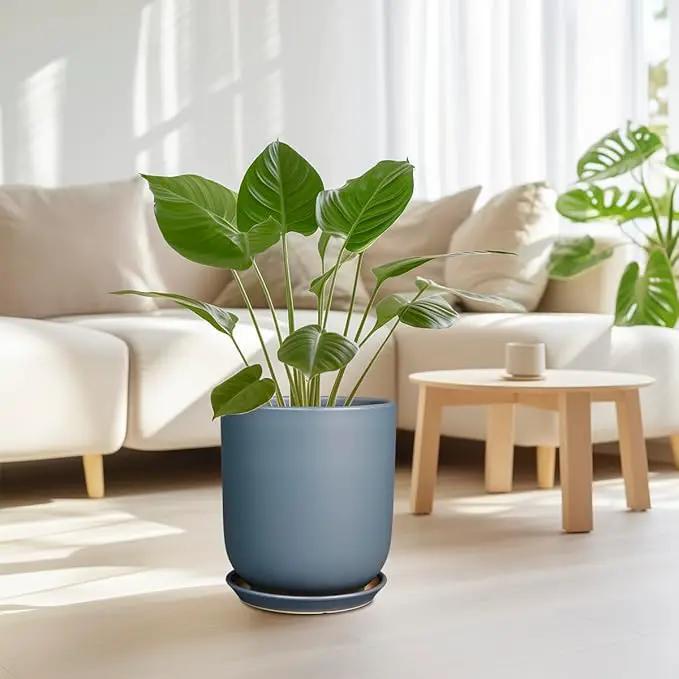 10 Inch Plant Pot - Ceramic Pot for Indoor Plants Outdoor Planter Large Flower Pot with Drainage Hole and Saucer Cylinder Gray by GreenHaven Gardens