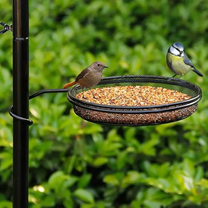 yosager Premium Bird Feeding Station Kit, 75" x 21" Bird Feeder Pole, A Multi Feeder Hanging Kit with Metal Suet and Bath for Attracting Wild Birds, Birdfeeder and Planter Hanger by GreenHaven Gardens
