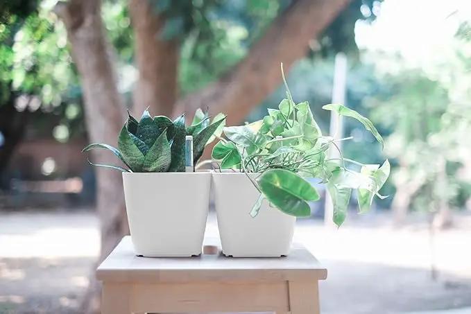 GARDENIX DECOR 5" Self Watering pots for Indoor Plants - Flower Pot with Water Level Indicator for Plants, Grow Tracking Tool - Self Watering Planter Plant Pot – 2 Pack White by GreenHaven Gardens