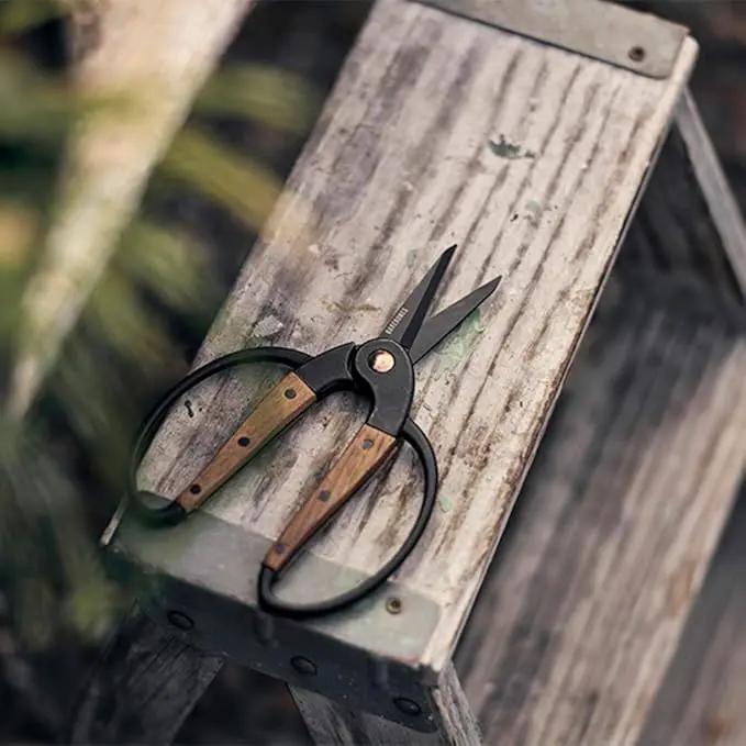 Barebones Garden Scissors - Walnut Scissors - Garden Supplies and Indoor Plant Accessories - Plant Shears with Wide Handles - Comfortable Fit Trimming Shears (Small) by GreenHaven Gardens