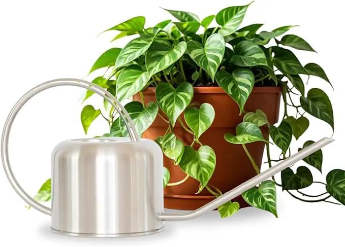 Stainless Steel Watering Can for Houseplants by Houseplant Resource Center | 1L Capacity for Indoor/Outdoor Plants in Brushed Silver by GreenHaven Gardens