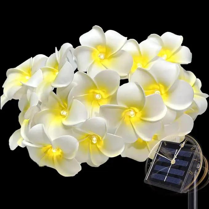 Solar Petunia Blue Morning Glory Flowers and Solar Hawaiian Frangipani Flower String Lights Tropical Flowers by GreenHaven Gardens