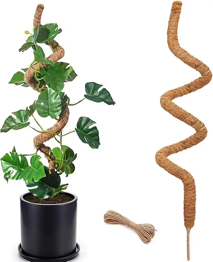 Moss Pole for Plants Monstera, 59 Inch Tall Bendable Moss Poles for Climbing Plants Indoor, Large Handmade Plant Pole Sticks, Coco Coir Plant Support Stakes for Potted Plants, Pothos by GreenHaven Gardens