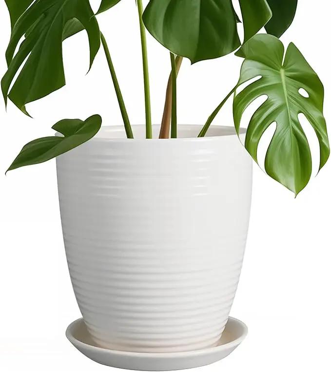 8 Inch Ceramic Planter Pot Round Plant Pot with Drainage Hole and Saucer Modern Flower Pot for Indoor Outdoor Plants White by GreenHaven Gardens