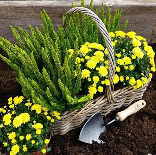 Tierra Garden DeWit Potting Trowel, Garden Tool for Roots and Planting (31-0906) by GreenHaven Gardens