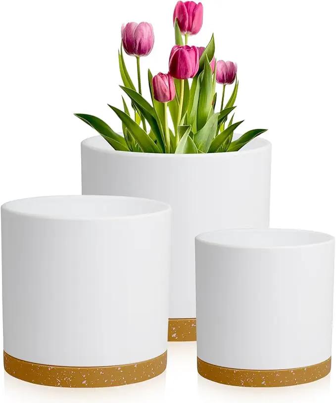 10/8/6 inch Deep Plant Pots, 3 Pack Cylindrical Large Flower Pots for Outdoor Indoor Plants, Tall Plastic Planters with Drainage Holes and Saucers for Garden House Plants, White with Brown by GreenHaven Gardens