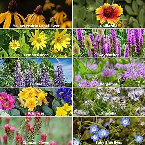 Save the Bees Wildflower Seed Shaker - ~100,000+ Wild Flower Seeds for Planting - Beautiful Easy to Sow Seed Shaker - 19 Varieties to Attract Bees & Other Pollinators - 3 oz. of Seed Covers ~370 sq ft by GreenHaven Gardens