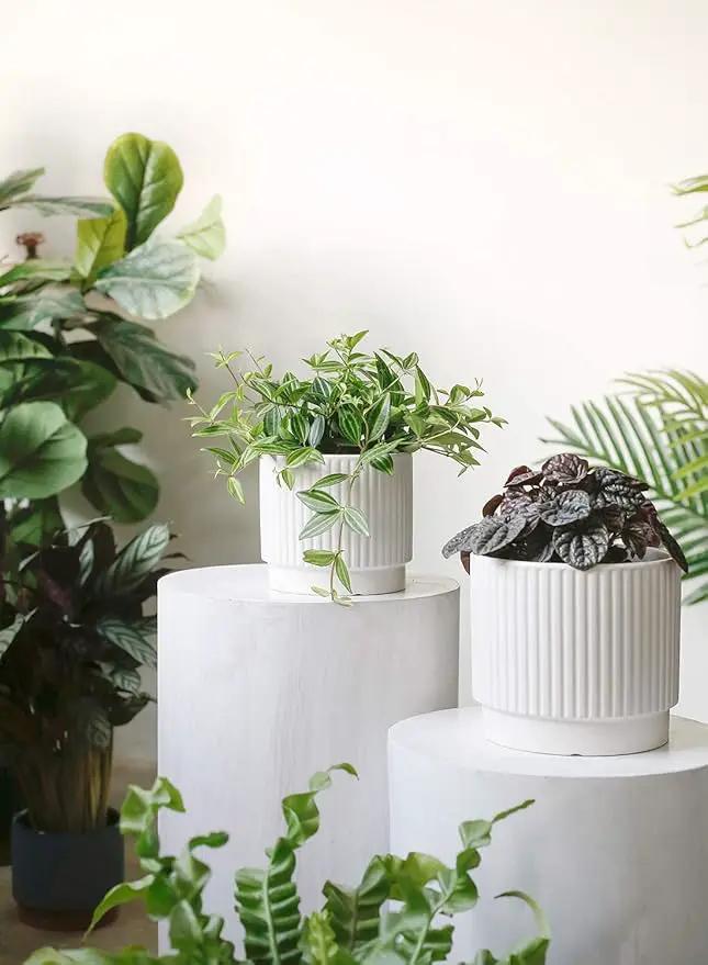LE TAUCI Ceramic Plant Pots with Drainage Holes, Set of 3, 8+6.7+5.5 Inch Stripe Garden Planter Pots for Outdoor Indoor Plants Flower, Round Succulent Orchid Flower Pot, Small to Large Size, White by GreenHaven Gardens