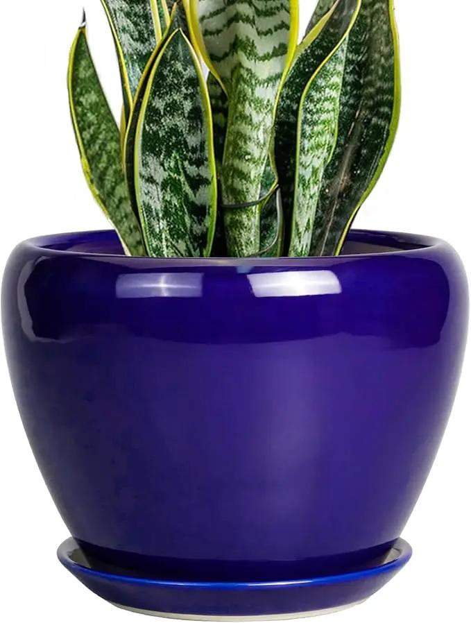Ceramic Plant Pot 8 Inch - Planter for Outdoor Plants Indoor Plant Pot with Drainage Hole and Saucer Decorative Round Planter Modern Flower Pot for House Decor Blue by GreenHaven Gardens