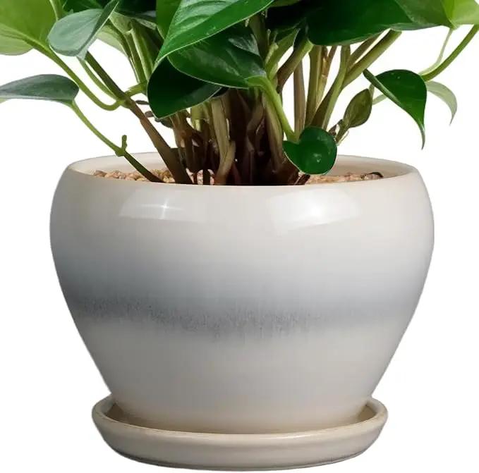 Planter Pot 6 Inch - Ceramic Plant Pot with Drainage Hole and Saucer, Round Glaze Succulent Pot for Plants, White by GreenHaven Gardens