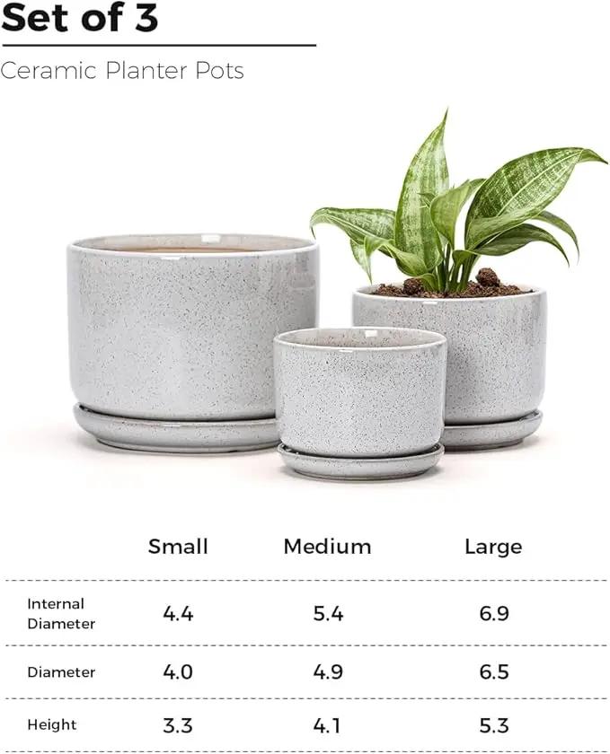 Ton Sin Plant Pots, 4.1+5.1+6.5 inch, Set of 3, Ceramic Planters with Drainage Hole and Saucer, Indoor Flower Pot with Hole Mesh Pad, Gifts for Mom(Reactive Glaze White) by GreenHaven Gardens