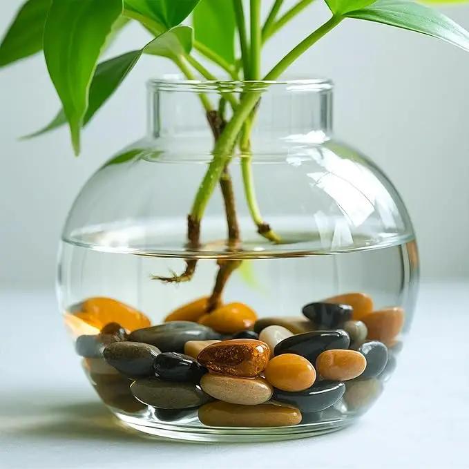 5 Lbs River Rocks for Plants,0.8-1.5 Inch Decorative Ornamental Pebbels, High Polished Stones for Garden Landscaping, Smooth Gravel Filler for Outdoor Plants, Succulents, Fish Tank and Vases, Yellow by GreenHaven Gardens