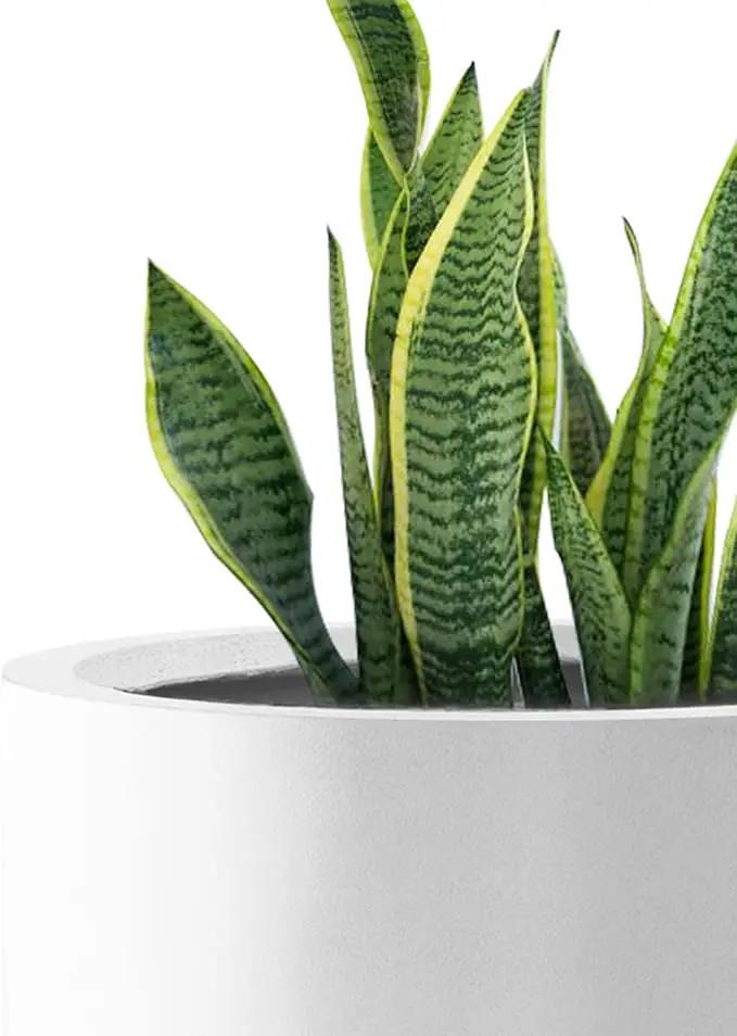 Kante RC0119ABC-C80011 Set of 3 Lightweight Concrete Modern Cylinder Outdoor Planters, 15.8, 12.9 and 9.8 Inch Diameter, Pure White by GreenHaven Gardens