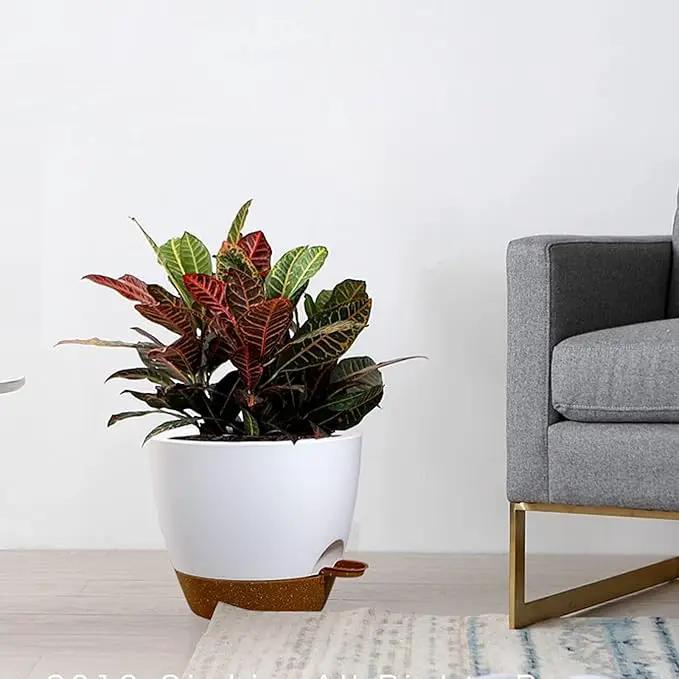 10/9/8 inch Self Watering Pots, Set of 3 Plastic Planters with Mesh Drainage Holes and Deep Reservoir for Indoor Outdoor Garden Plants and Flowers, White with Brown by GreenHaven Gardens