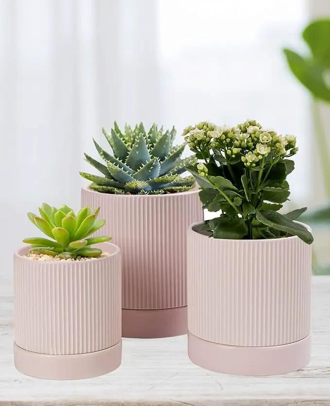 LaDoVita 3 Pack Ceramic Plant Pots 6/5/4 inch, Flowerpot for Indoor Plants with Drainage Holes and Tray, Outdoor Garden Planters, Modern Decorative for Home, Pink Vertical Stripes by GreenHaven Gardens