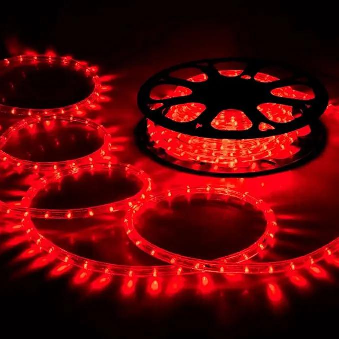 100ft LED Rope Lights Outdoor, 720 LED Connectable and Flexible Tube Lights with 8 Modes, Waterproof LED Rope Lighting for Garden, Patio, Pool, Bedroom, Party, Indoor Outdoor Christmas Decor (Red) by GreenHaven Gardens