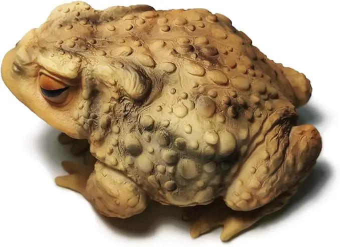 Sunthus Frog Toad Sculptures Garden Statues Yard Art Resin Decorations Outdoor Garden Decor by GreenHaven Gardens