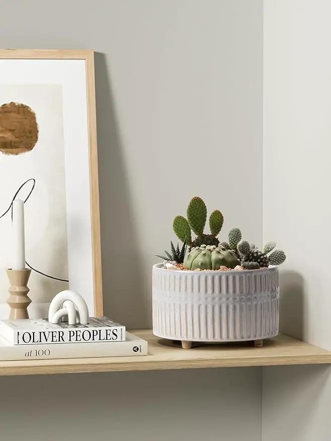 LE TAUCI Succulent Pots, 6.5+8 Inch Ceramic Indoor Plant Pot with Drainage Hole, Modern Round Decorative Flower Pot, Set of 2, Reactive Glaze Star White by GreenHaven Gardens