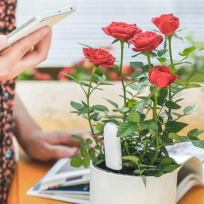 Soil Moisture Meter 4 in 1,Plant Water Monitor,Automatically detect Moisture/Temperature/Light/Fertility,Can Connect to Mobile Phone via Bluetooth,Hygrometer Sensor for Indoor Plants (2pc) by GreenHaven Gardens