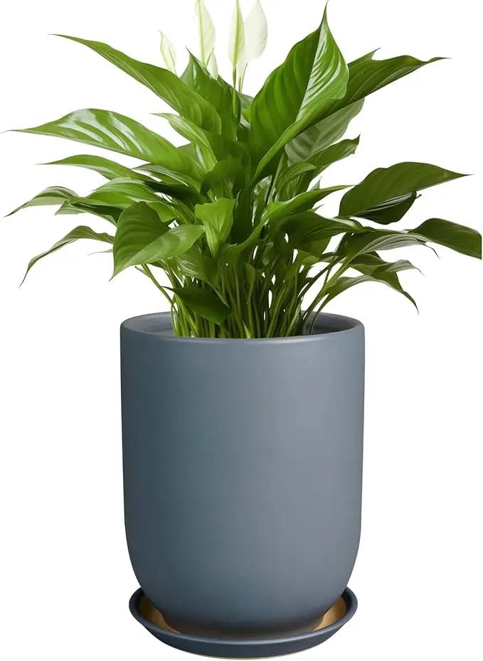 Ceramic Pot for Plants - 8 Inch Plant Pot for Indoor Plants Outdoor Ceramic Planter Large Flower Pot with Drainage Hole and Saucer for Home Garden Decor Gray by GreenHaven Gardens