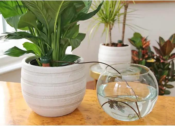 Blumat Plant Watering Devices - Classic XL Self Watering Planter Insert - Automatic Drip Plant Watering Stakes for Pots - Prevents Overwatering and Underwatering for Healthy Growth - 2 Pack by GreenHaven Gardens