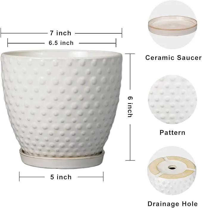 G EPGardening 6 Inch Ceramic Plant Pot with Drainage Hole and Saucer Round Planter Decorative Flower Plant Pot for Indoor Plants Outdoor White by GreenHaven Gardens