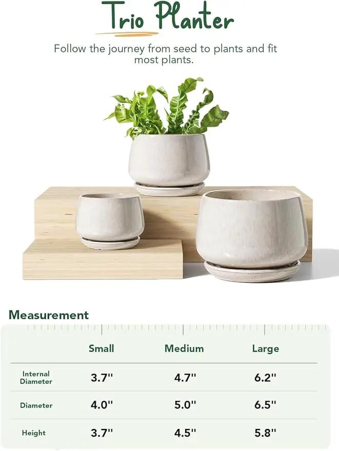 LE TAUCI Plant Pots, 4.1+5.1+6.5 inch, Set of 3, Ceramic Planters with Drainage Hole and Saucer, Indoor Flower Pot with Hole Mesh Pad, Gifts for Mom, Reactive Glaze Beige by GreenHaven Gardens