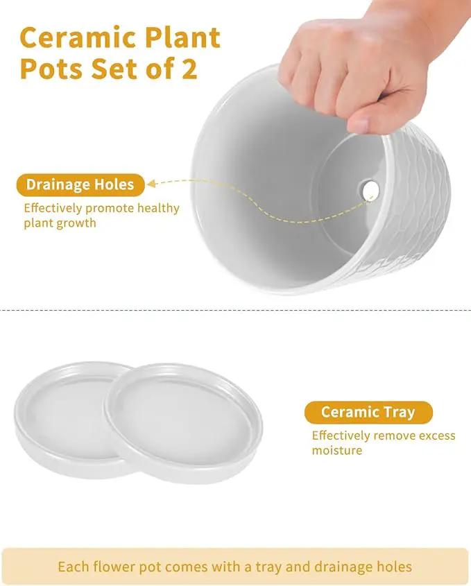 EFISPSS Ceramic Plant Pots, 6 Inch Pots for Indoor Plants, Planters with Drainage Hole and Saucer, Flower Pots Desktop Office Windowsill Decoration Gift Set of 2 - White by GreenHaven Gardens