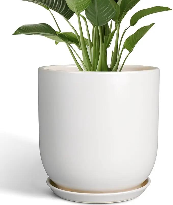 Plant Pot 12 inch - Ceramic Pot for Plants Indoor Outdoor Large Planter Pot with Drainage Hole and Saucer Mid-Century Modern Flower Pot Cylinder White by GreenHaven Gardens
