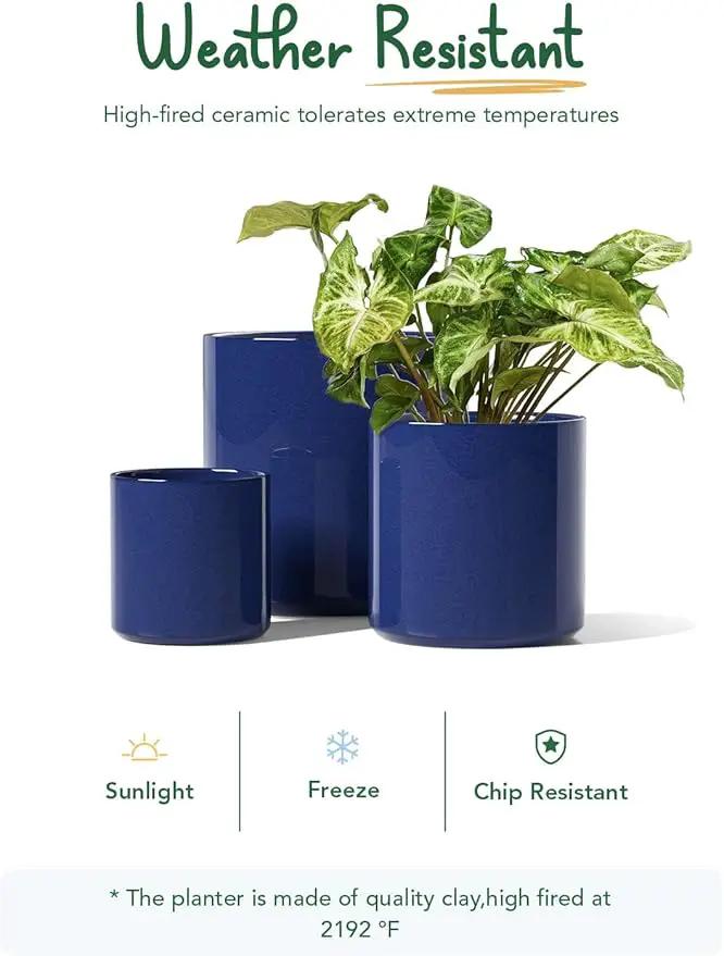 LE TAUCI Ceramic Plant Pots Indoor, 10+8+6 Inch Planters for Indoor Plants, Mid-Century Modern Flower Pots with Drainage Hole and Plug, Cylinder Round Planters, Set of 3, Sapphire Blue by GreenHaven Gardens