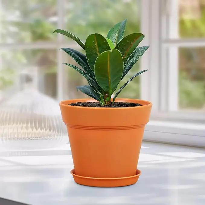 4 inch Small Plastic Nursery Pots, Seedling Pots, 16 Pack Plant Pots for Indoor Outdoor Plants, Flower Pots with Drainage Holes and Saucers, Decorative Planters for House Plants, Terracotta by GreenHaven Gardens