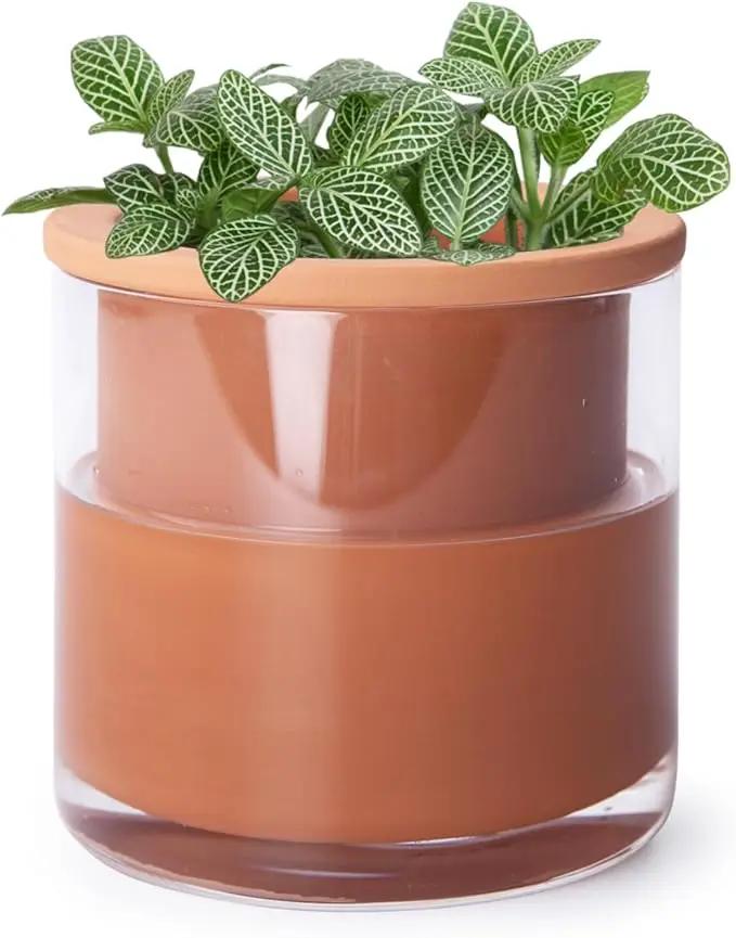 Phoenix Vine 4 Inch Self Watering Plants Pot, Design Terracotta Pot for Plants, Indoor Cylinder Terra Cotta Planter with Glass Vase, Set of 1, 51-A-E-1 by GreenHaven Gardens