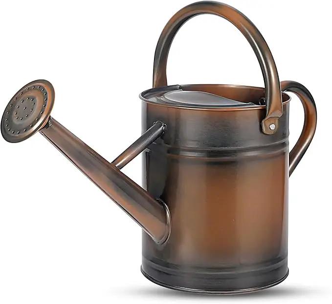 1 Gallon Watering Can for Plants, Watering Cans for Indoor&Outdoor Gardening, Galvanized Steel Watering Pot with Removable Spout, Metal Water Can with Ergonomic Movable Handle(Copper) by GreenHaven Gardens