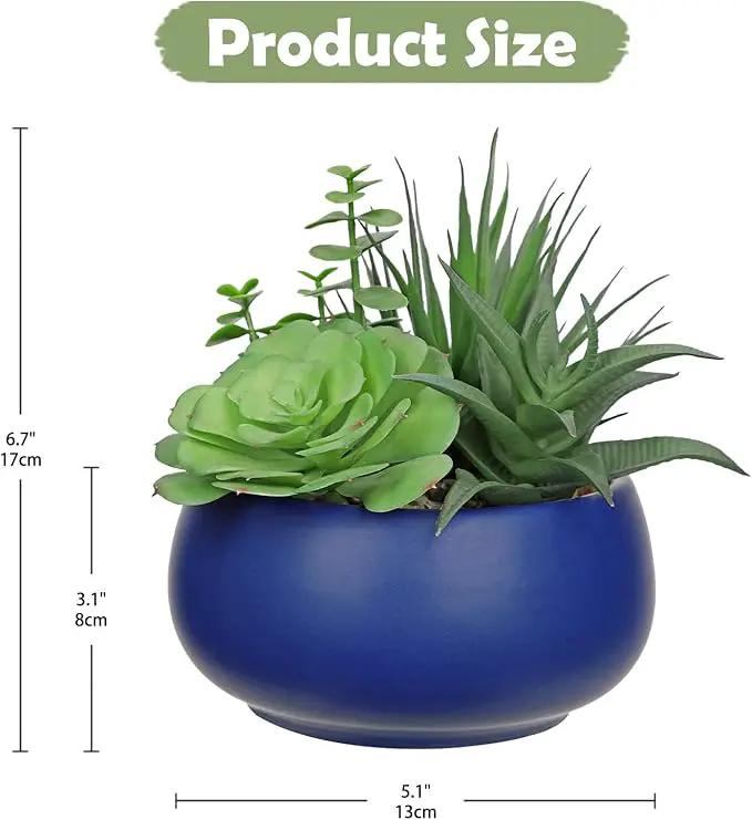 Fake Plants Artificial Succulents in Pots Faux Succulent Arrangement Potted Plant with Blue Ceramic Pot for Home Decor Modern Office Desk Bathroom Shelf Living Room Indoor & Outdoor Decoration by GreenHaven Gardens