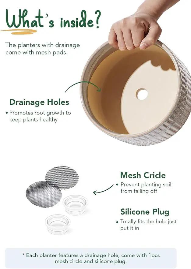 LE TAUCI Succulent Pots, 6.5+8 Inch Ceramic Indoor Plant Pot with Drainage Hole, Modern Round Decorative Flower Pot, Set of 2, Reactive Glaze Star White by GreenHaven Gardens