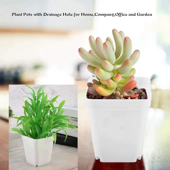 OJYUDD 3inch White Square Plastic Pots with Saucer, Drainage Hole, 24 Pcs, for Flower/Plant, Home,Company,Office and Garden(White) by GreenHaven Gardens