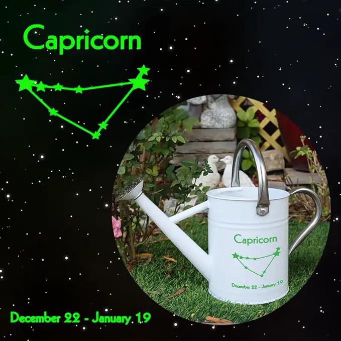 Metal Watering Can for Outdoor and Indoor Plants, Watering Can Decor, 1 Gallon (Capricorn) by GreenHaven Gardens