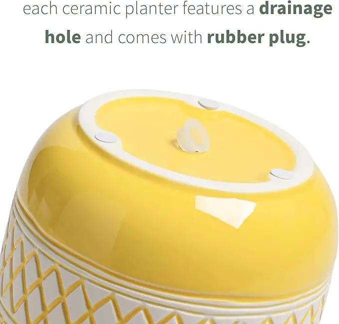 Ceramic Plant Pots, 6 + 4.7 inch Yellow Plant Pot, Flower Pots for Indoor Plants， Planter with Drainage Hole for Succulent Orchid Snake Plants Cactus by GreenHaven Gardens