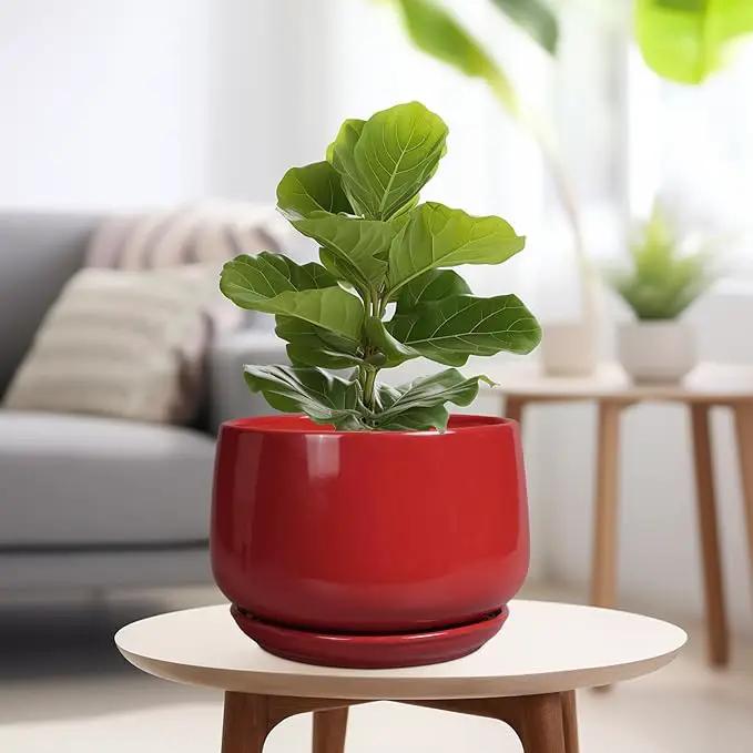 G EPGardening Ceramic Plant Pots - 9 Inch Flower pots for Indoor Outdoor Plant, Round Planter with Drainage and Saucer, Modern Home Decor, Gift for Women Men, Red by GreenHaven Gardens
